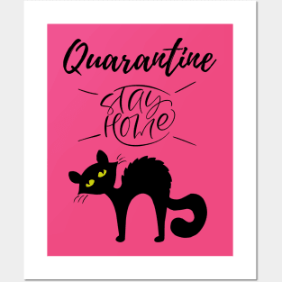 Quarantine and my Cat 2020 Posters and Art